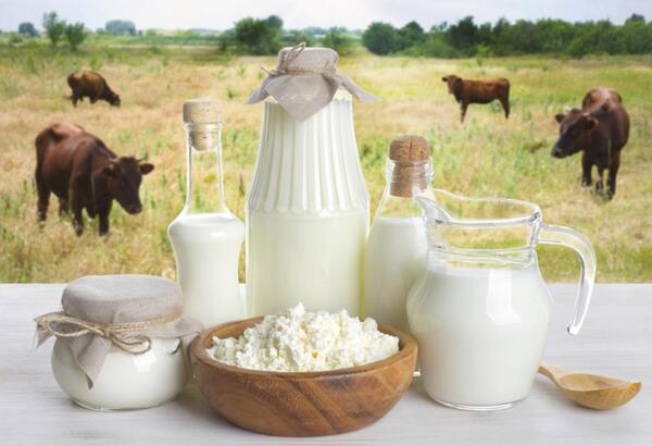 What can be made from 1 tonne of milk (a brief overview of processes and equipment)