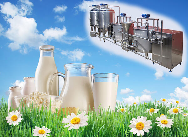 Milk processing business: calculating profitability and payback