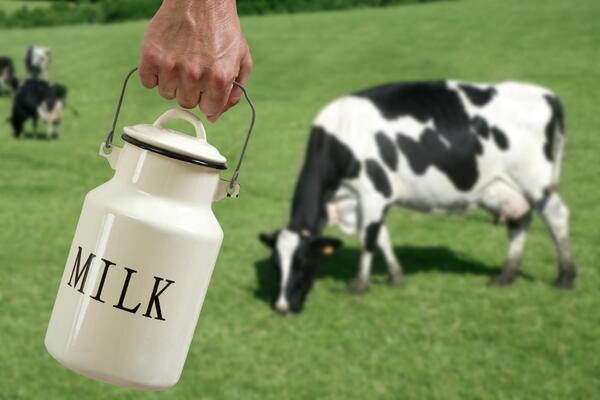 What is a milk taxi?