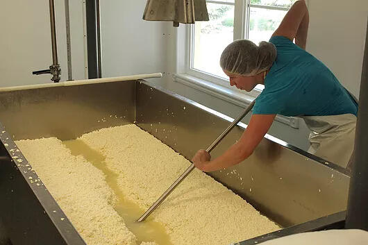 Curd vat: how to choose and buy one? Horizontal and vertical curd vats