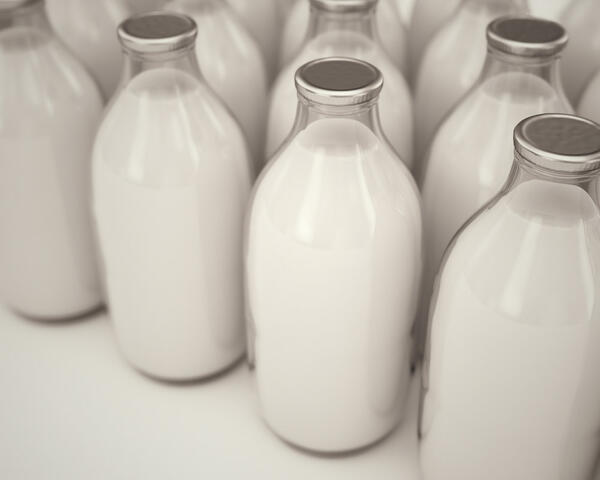 Milk coolers