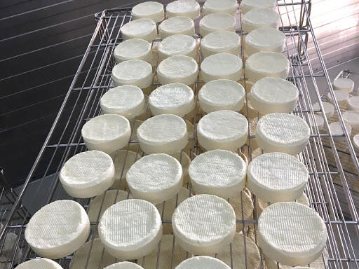 Salting cheese