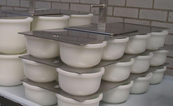 Cheese press: manual screw or pneumatic? Which to choose?
