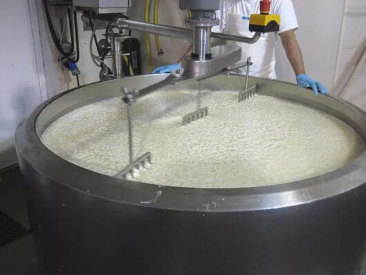 Cheese vat: how to choose and which one to buy?